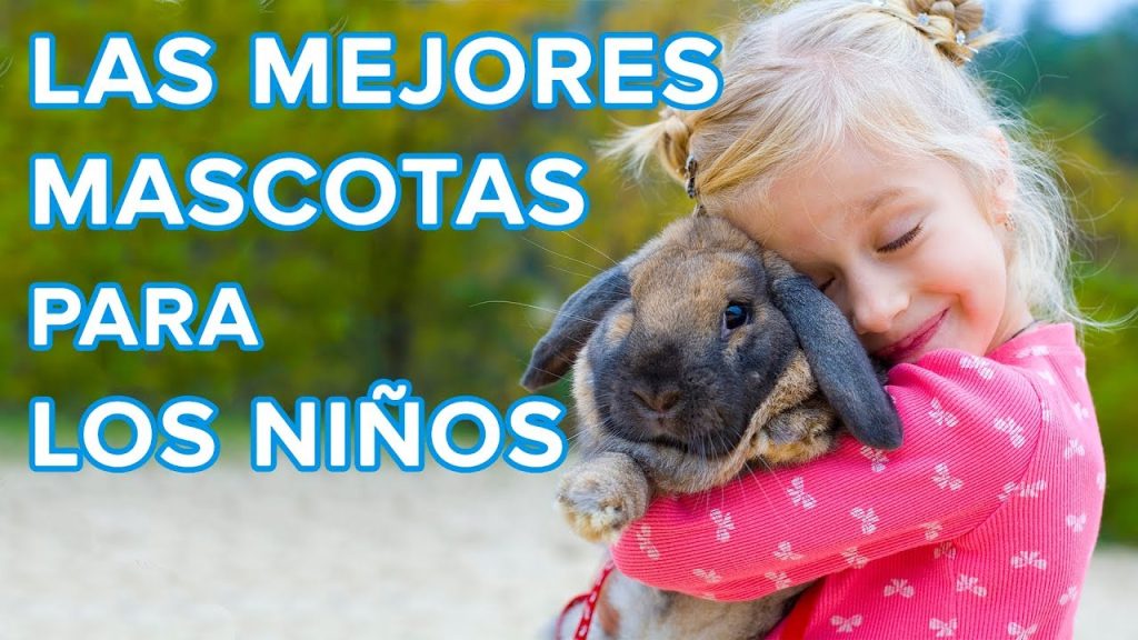 como elegir la mascota adecuada para cada familia -