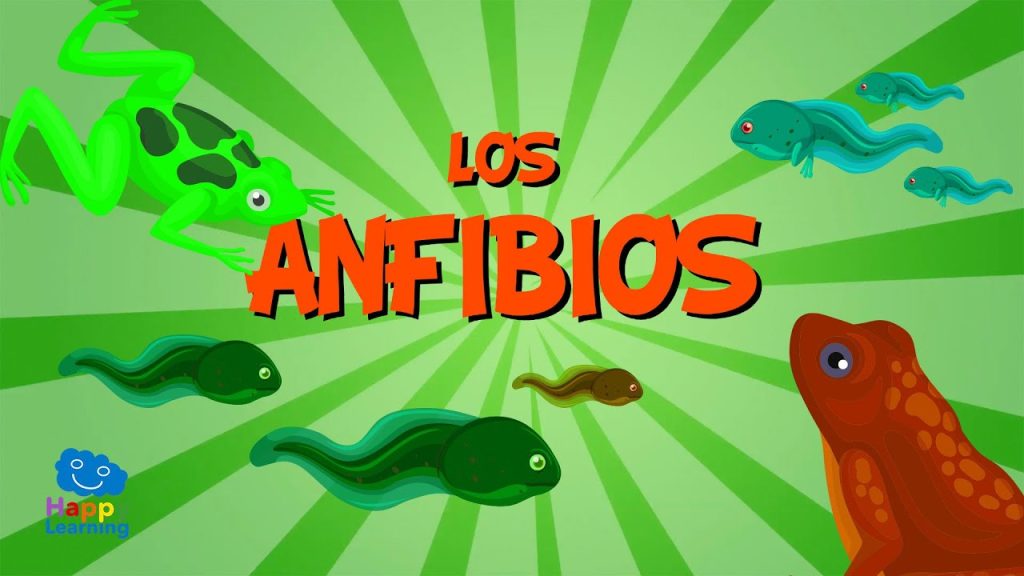 curiosidades sobre los anfibios que no sabias -