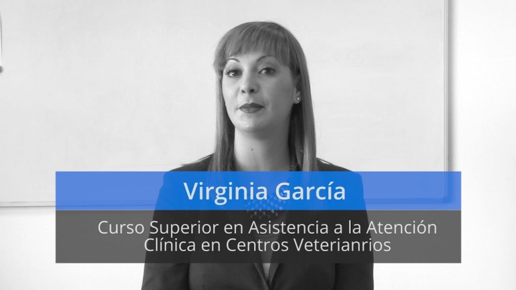 httpswww.escueladeveterinaria.comcurso asistente tecnico veterinario -