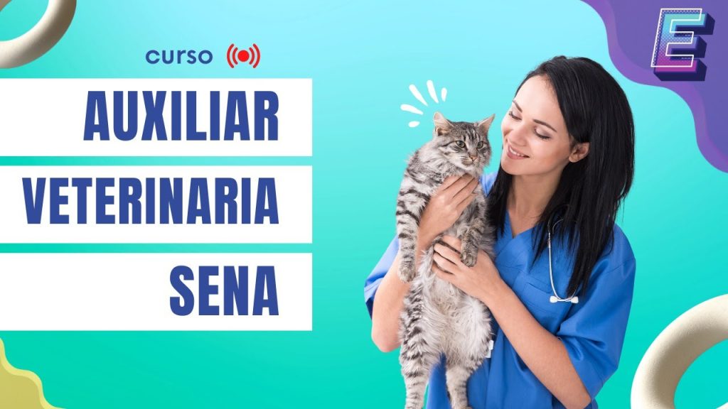 httpswww.escueladeveterinaria.comcurso auxiliar tecnico veterinario -