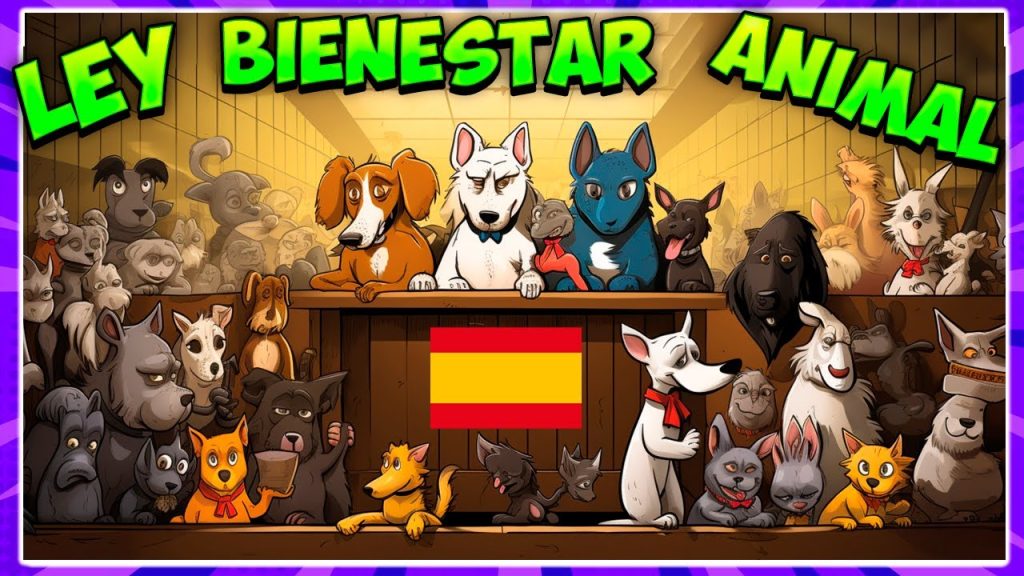 httpswww.escueladeveterinaria.comnoticiasanimales prohibidos ley bienestar animal -