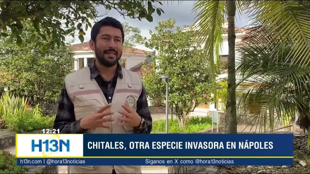 httpswww.escueladeveterinaria.comnoticiassuricatos calificados especie invasora -